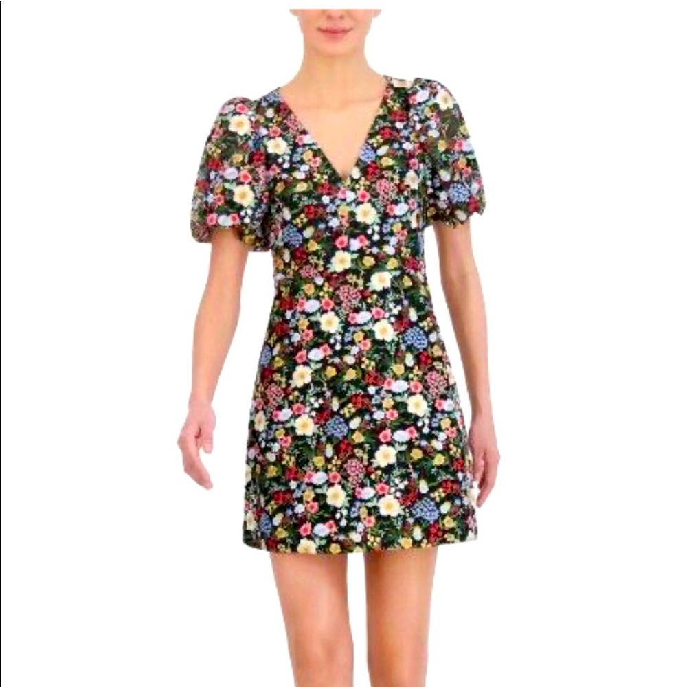 Eliza J Embroidered V-Neck Puff Sleeve Fit and Flare Mini Dress